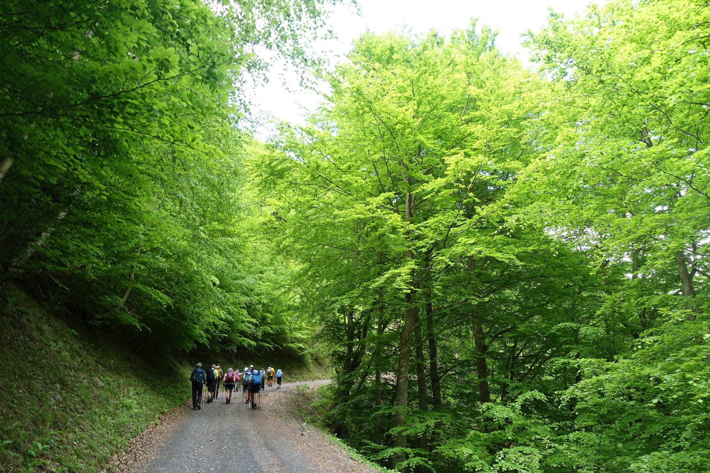 Col de Ripeyre dimanche 02 juin 