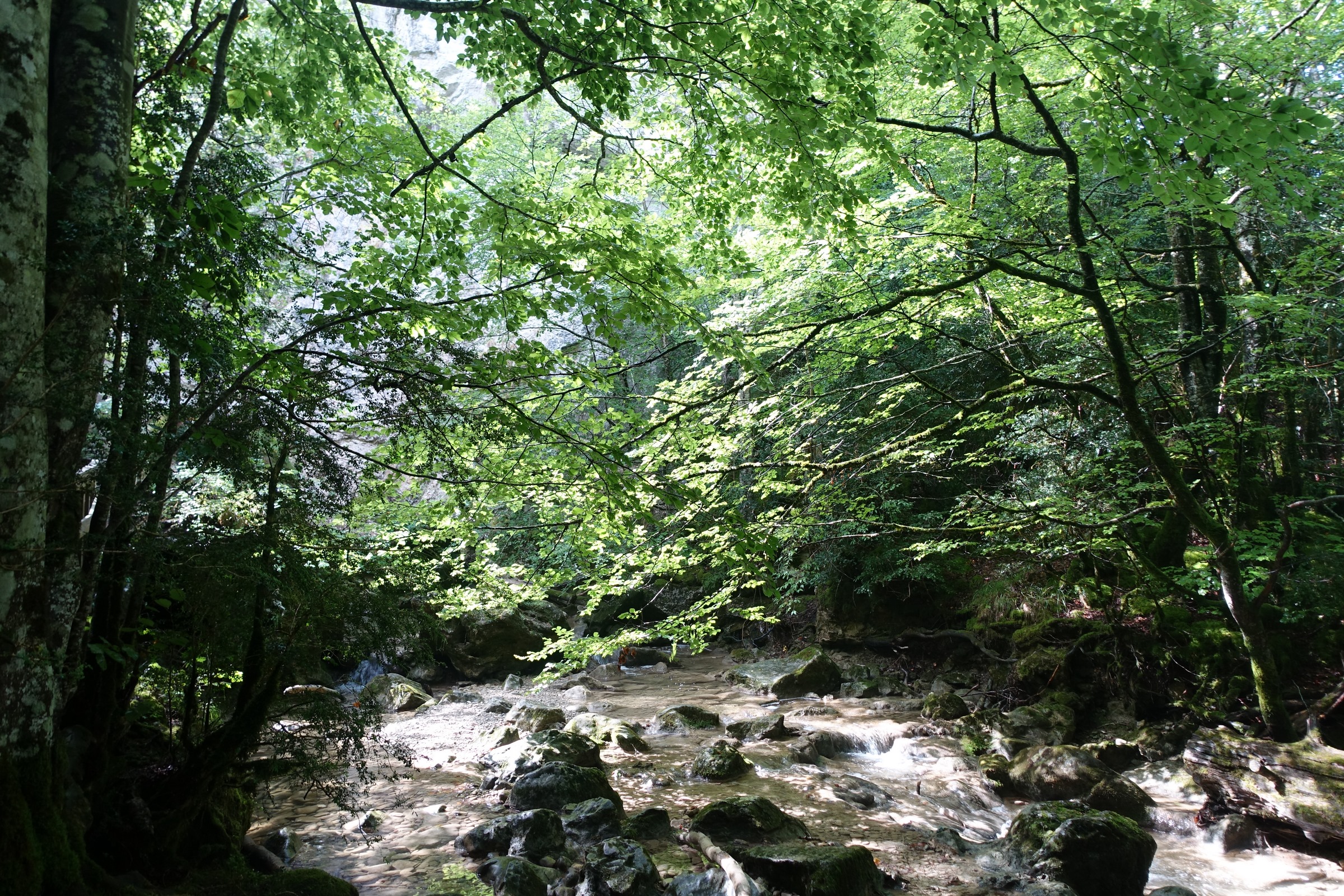 Cascade de Belabarze dimanche 1 septembre 
