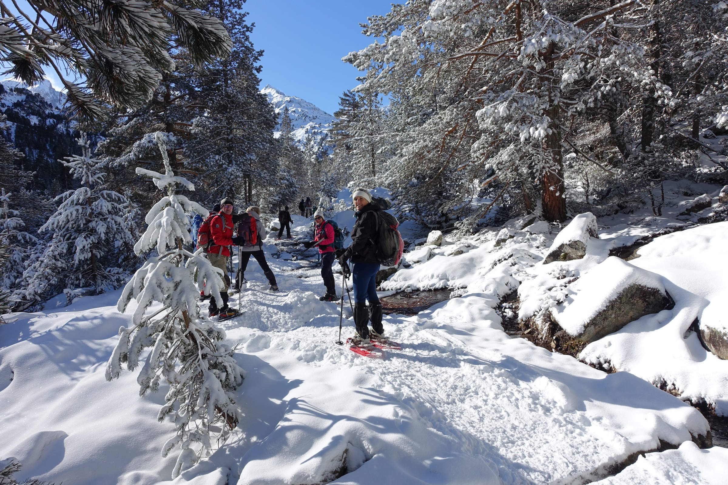 Refuge Wallon dimanche 12 janvier 