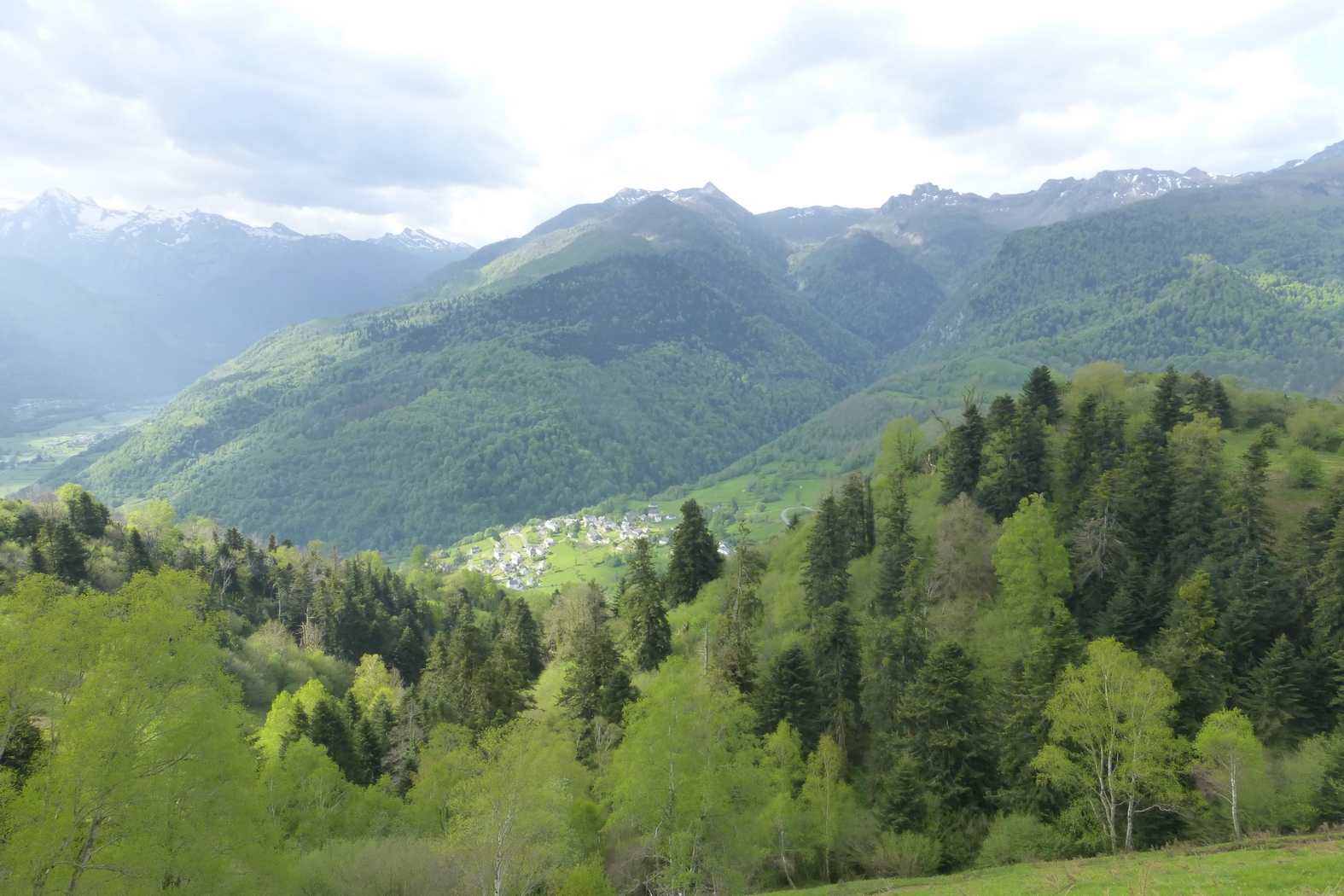 Pics de Counee et du Bersaut samedi 3 mai 